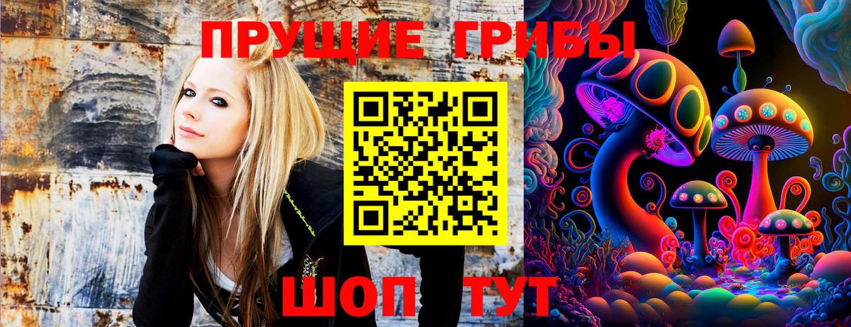 Галлюциногенные грибы прущие грибы  Вход с VPN  Ленинск-Кузнецкий 